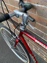 Load image into Gallery viewer, Apollo II racer (10 speed)